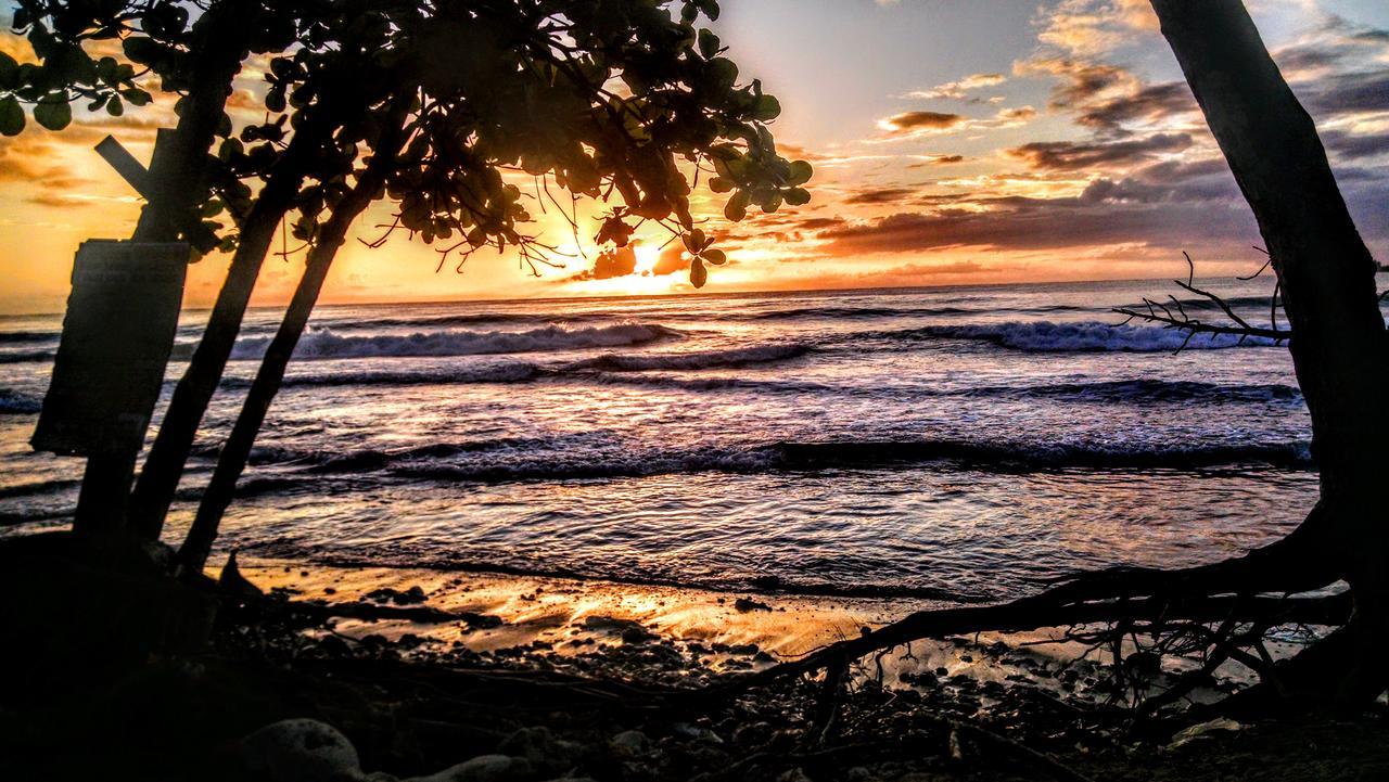 Surf Break At Paunch Bed and Breakfast Bocas del Toro Buitenkant foto